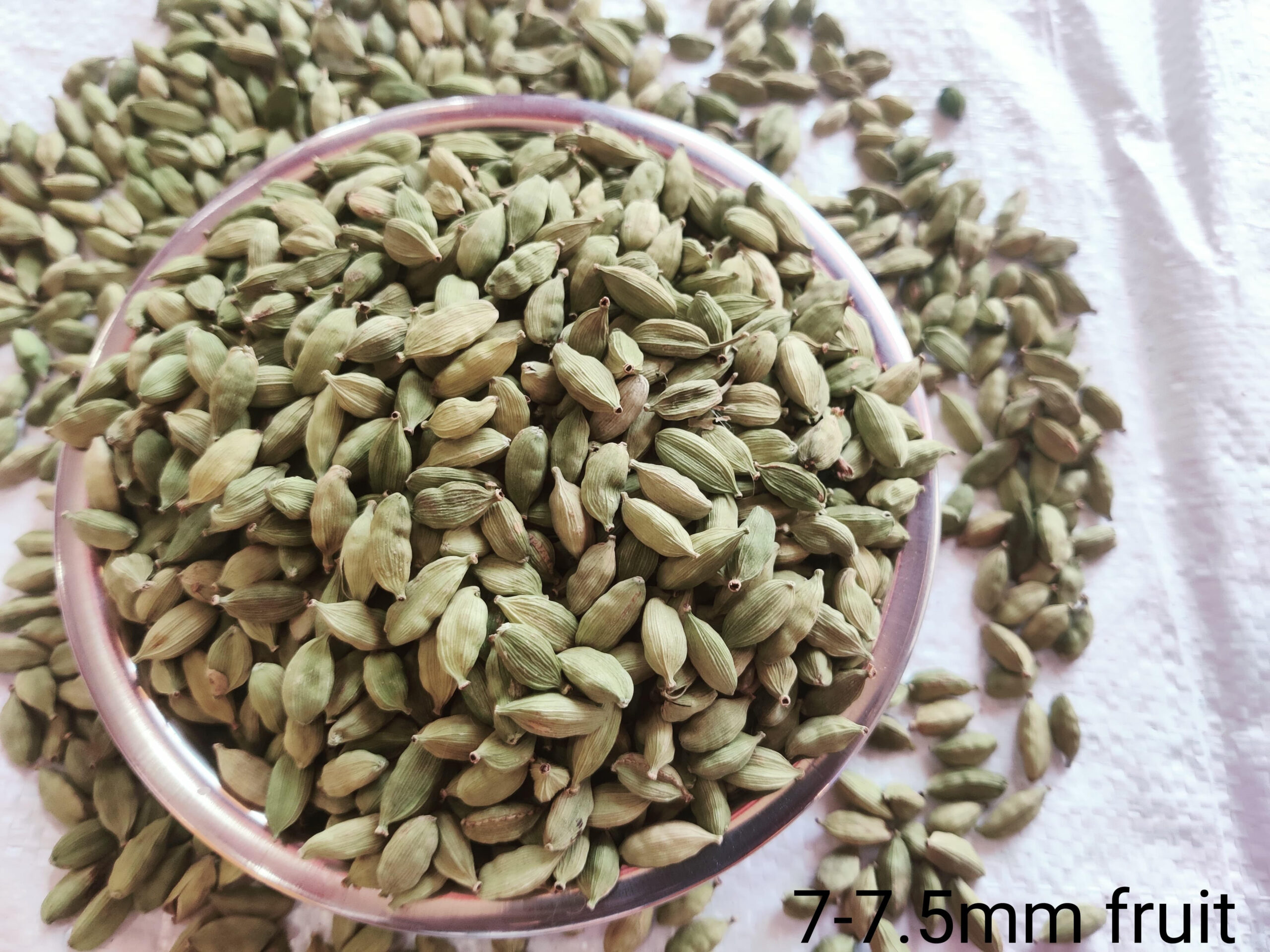 7–7.5 mm Fruit Grade