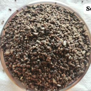 Cardamom (Cardamom Seeds)